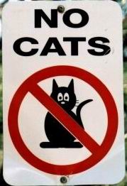 no cats allowed by miranda james no cats allowed by miranda james
